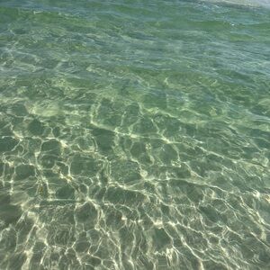 Meet your Posher, Melisa